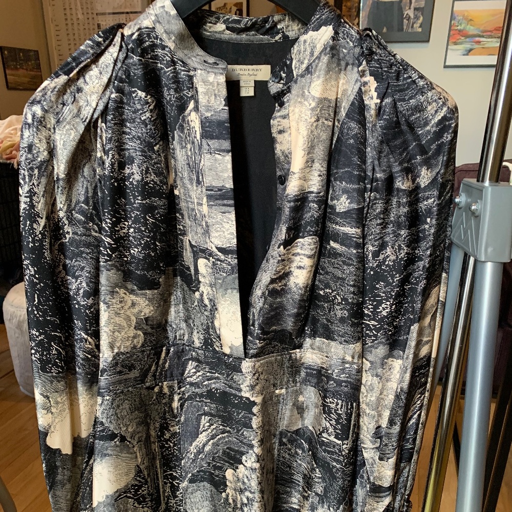 Burberry Dreamscape Dress Size 6 US